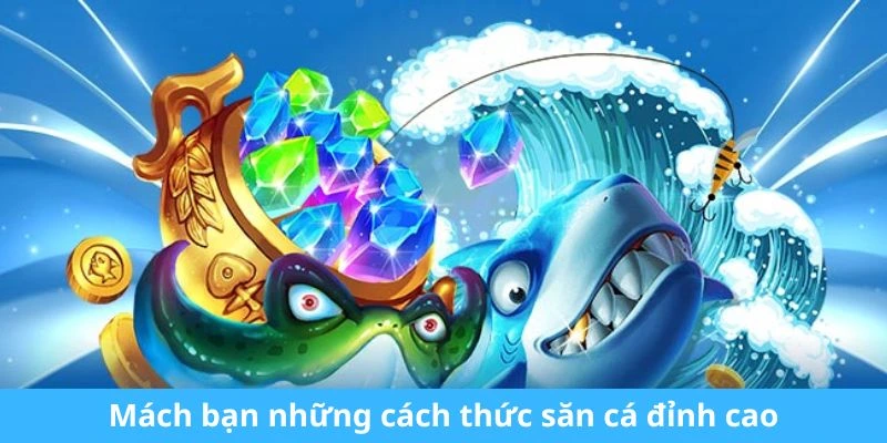 Mách bạn những cách thức săn cá đỉnh cao