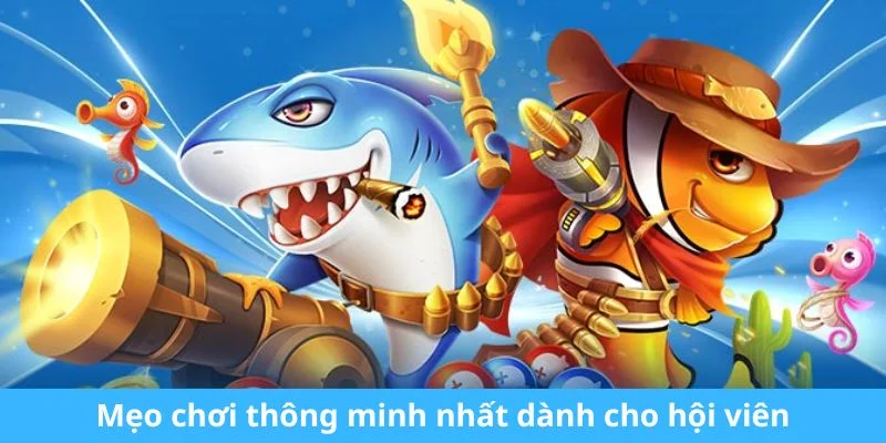 Mẹo chơi thông minh nhất dành cho hội viên