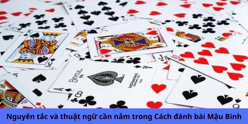 Nguyên tắc và thuật ngữ cần nắm trong cách chơi bài Mậu Binh